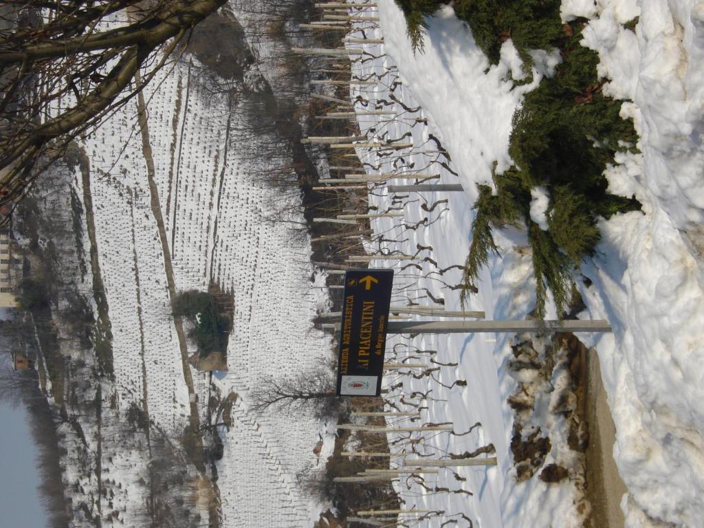 Agriturismo Ai Piacentini Santo Stefano Belbo Kültér fotó
