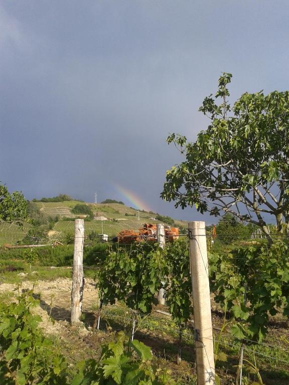 Agriturismo Ai Piacentini Santo Stefano Belbo Kültér fotó